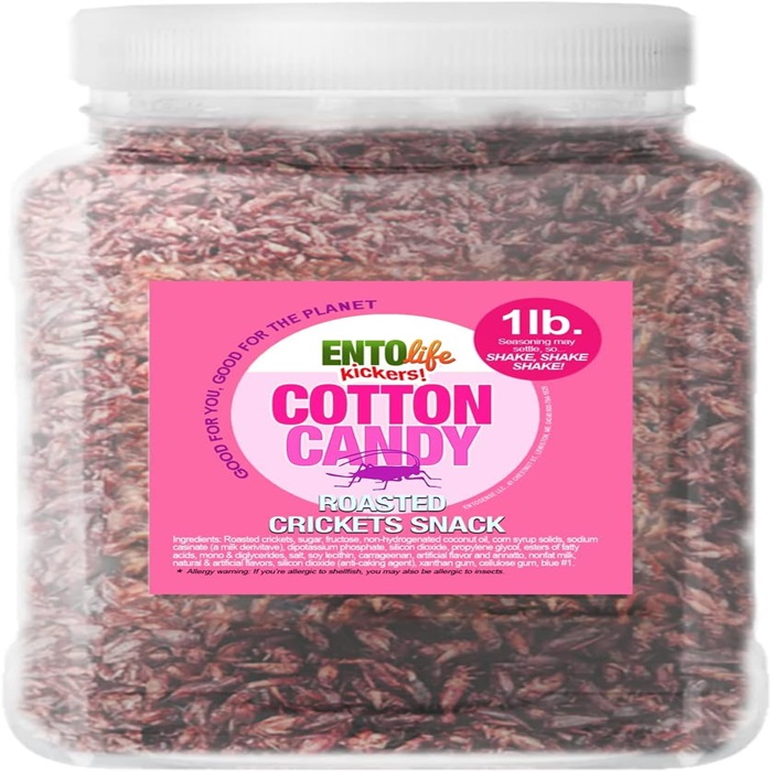 Cotton Candy Flavored Edible Crickets